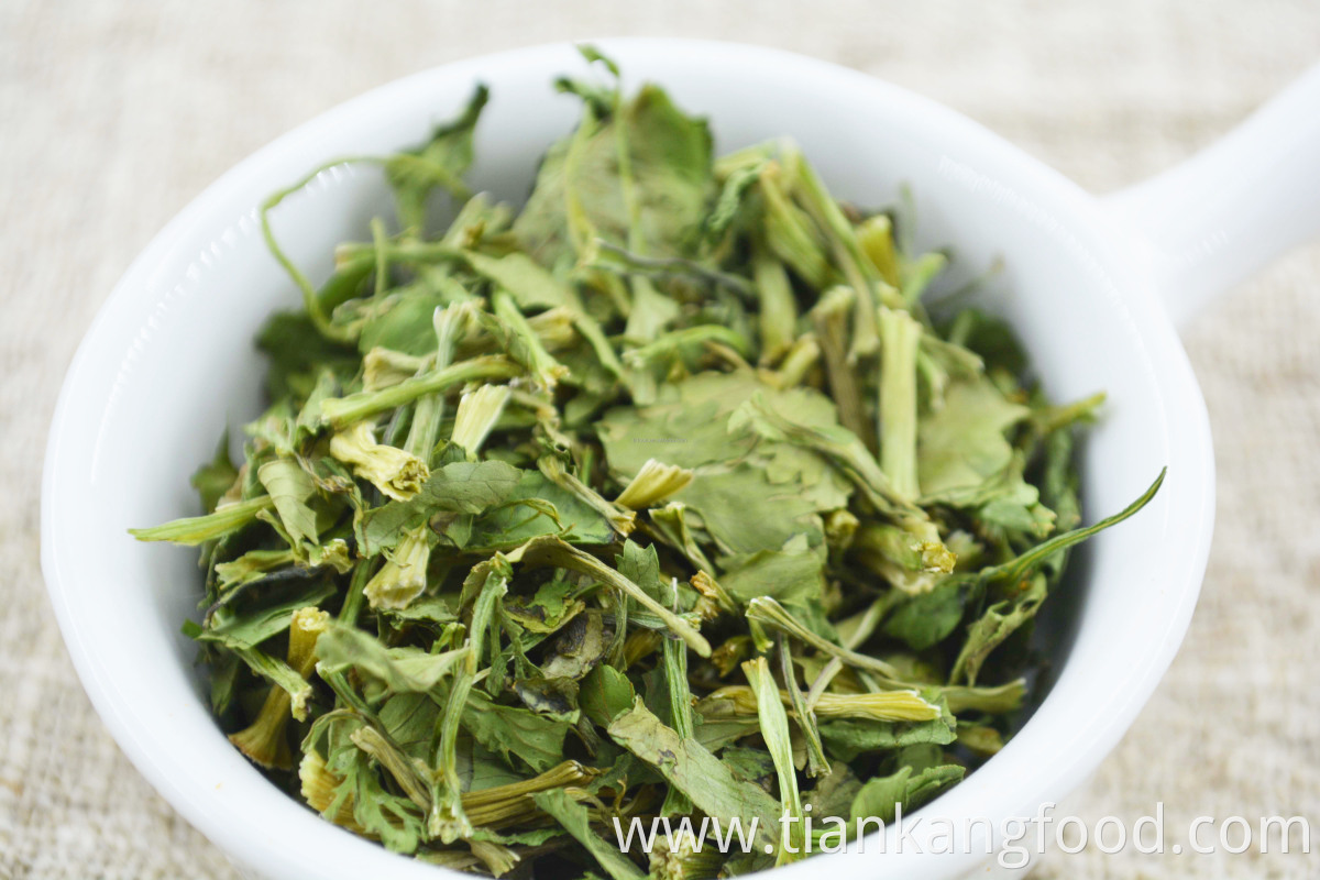 Premium dehydrated coriander leaves